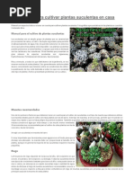 Manual para Cultivar Plantas Suculentas en Casa