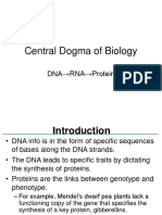 Central Dogma of Biology: DNA RNA Protein