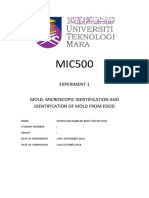 Exp 1 Mold: Microscopic Identification and Identification of Mold From Food