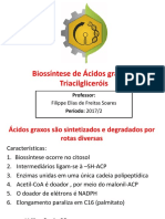 Biossintese de Acidos Graxos e Lipídeos