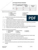 Cell Transport Review Worksheet