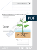 Ciencias Naturales, Tema 3, Ejercicios de Refuerzo y Ampliación PDF