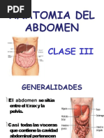 Abdomen 1