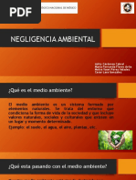 Negligencia Ambiental Equipo 3