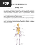 Anatomia