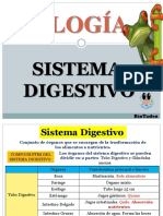 Sistema Digestivo