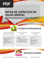 Rutas de Atencion Salud Mental (Autoguardado)