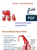 Atherosclerosis-A Brief Review: Biochemistry For Medics WWW - Namrata.co