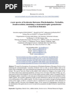 A New Species of Freshwater FL Atworm (Platyhelminthes, Tricladida, Dendrocoelidae) Inhabiting A Chemoautotrophic Groundwater Ecosystem in Romania