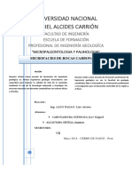 Informe de Microfacies de Rocas Carbonatadas