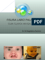 23 Fisura Labio-Palatina