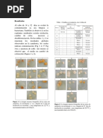 Resultados Lab Zanahoria