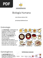 Embriología - Tejido Muscular Esquelético