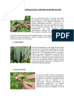 10 Plantas Medicinales de La Región de Madre de Dios