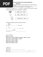 Guia de Lenguaje de Las Primeras Consonantes