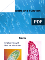 Cell Parts and Function