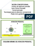 Atencion Concepcional, y Control Prenatal