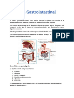 Sistema Gastrointestinal