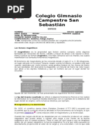 Sintesis Magnetismo 7°