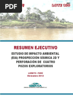 Resumen Ejecutivo Lote 130 Final 14-12-12 PDF