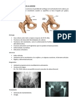 Enfermedades de La Cadera