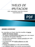 Ppw3 Niveles de Amputacion