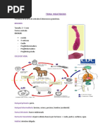 HIDATIDOSIS