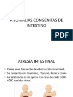 Anomalias Congenitas de Intestino