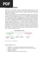 Fig. 1 Streptococci - Clasiffication