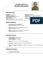 Curriculum Vitae - Formato