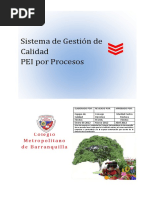 Pei Por Procesos