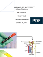 Centro Escolar University: School of Medicine SY 2018-2019 Urinary Tract - Glomerulus October 28, 2018