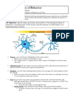 Biological Bases Study Guide