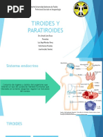 Tiroides