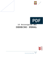 10 Principios de Derecho Penal