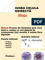 Diviziunea Celulara Mitoza Vs Meioza-Animatie