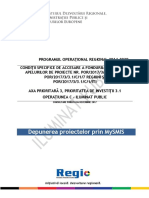 Ghidul Specific PI 3.1C