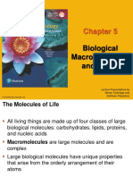 Biological Macromolecules and Lipids: Lecture Presentations by Nicole Tunbridge and Kathleen Fitzpatrick