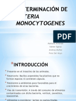 Determinación de Listeria Monocytogenes