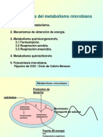 Lección 7. Metabolismo (Grupo B)