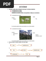 Actividad N°2