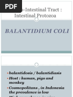 Infeksi GIT by E.coli & Salmonella SPP Rev 2016