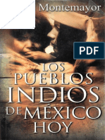 Los Pueblos Indios de Mexico Hoy PDF