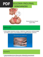 Granuloma Inguinal