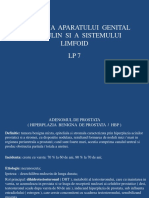 LP 7 - Patologia Aparatului Genital Masculin Si A Sistemului Limfoid