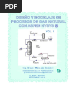 Modelaje y Simulación de Procesos de Gas Natural