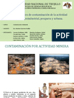 Casos de Contaminación Minera, Agroindustrial, Pesquera y Urbana