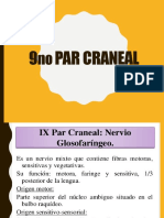 9par C