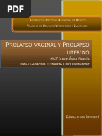 Prolapso Vaginal Prolapso Uterino Laceraciones Del Canal de Parto PDF