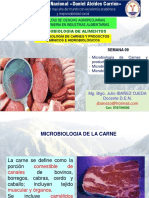 Semana 09 - Microbioogia de La Carnes, Conservas e Hidrobiologicos